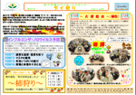 桂千代原口デイサービス　デイ便り　平成２６年１１月号